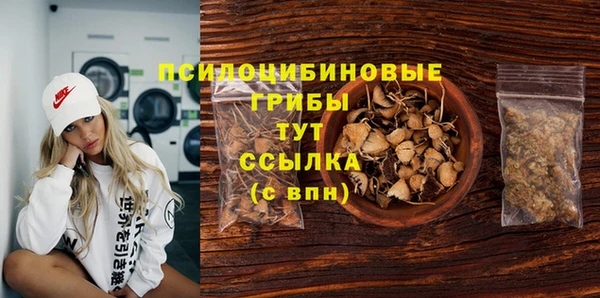 2c-b Алзамай