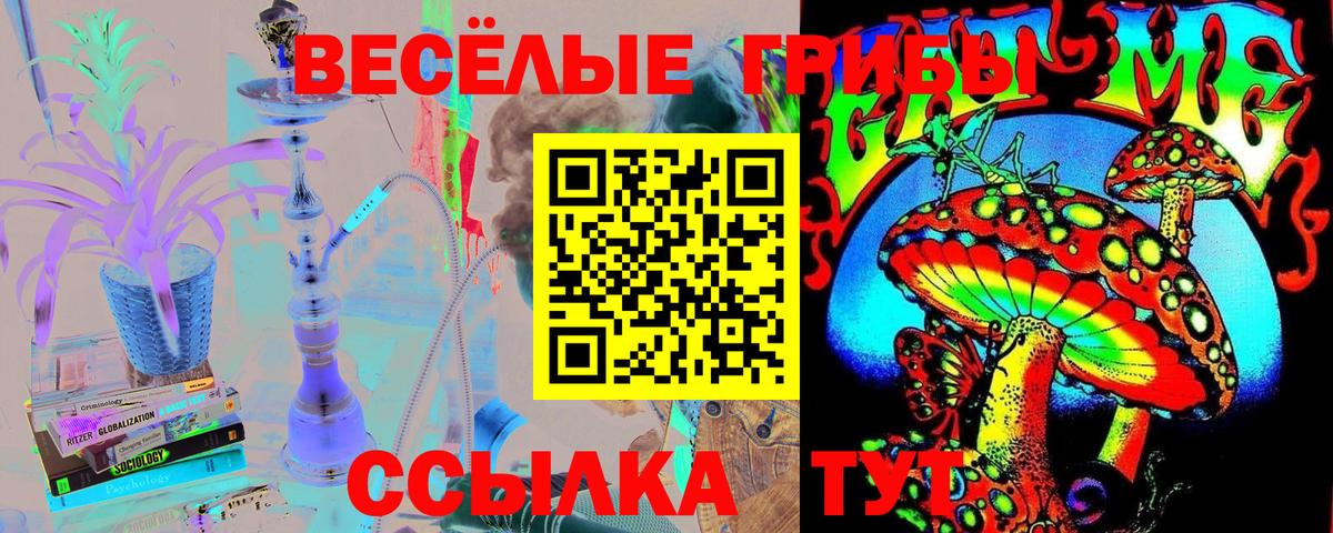 Псилоцибиновые грибы Psilocybe Старая Русса