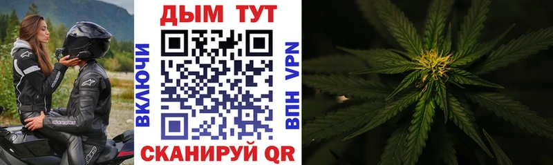 darknet состав  Старая Русса  Каннабис AK-47 
